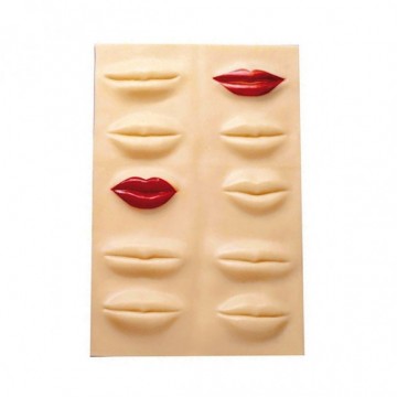 [8435138400590] Recambio Labios Practica Bifull